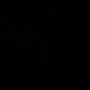 Meet your Posher, Rico